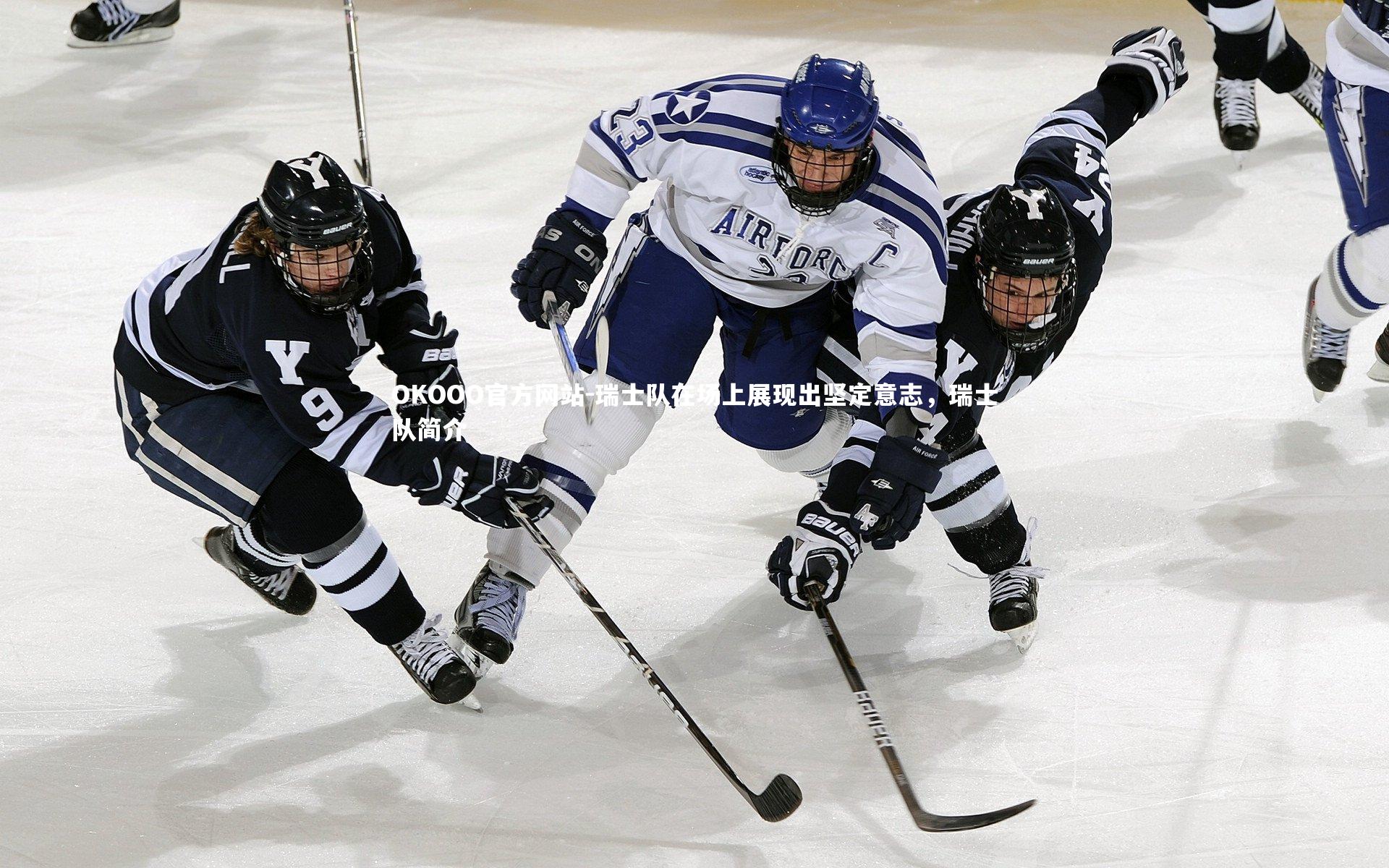 瑞士队在场上展现出坚定意志,瑞士队简介